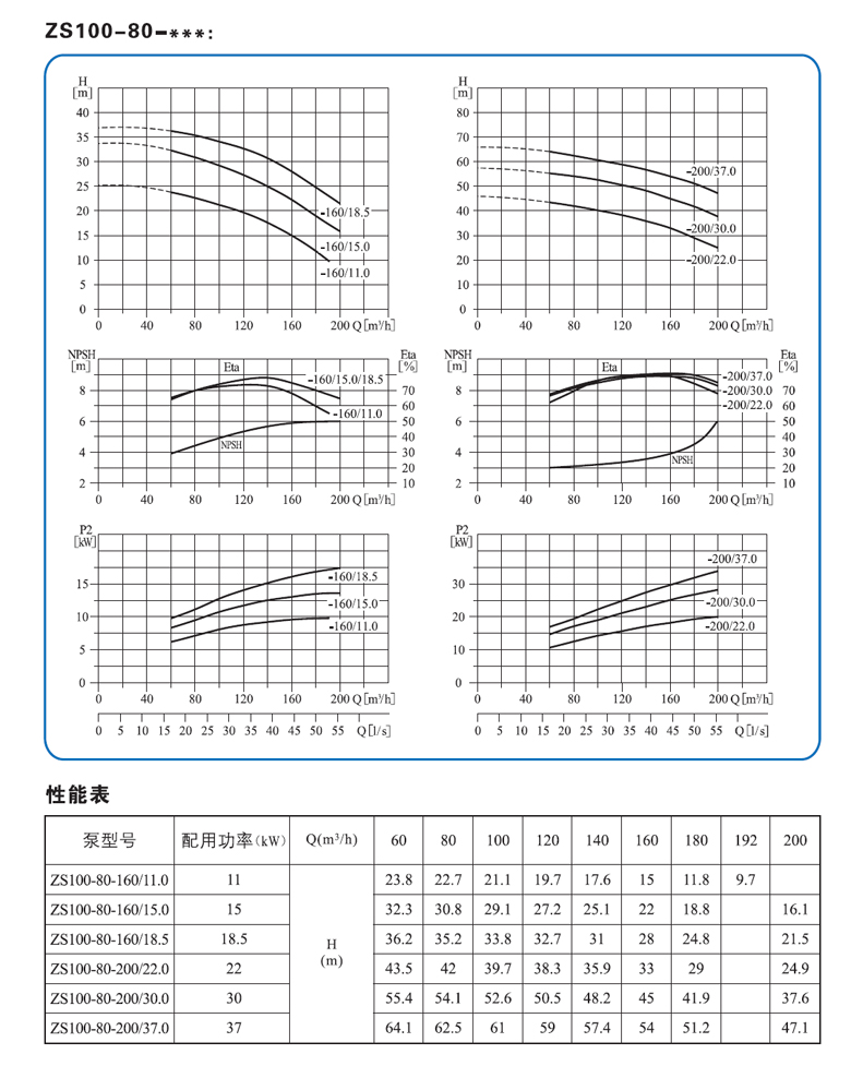 ZS100-80系列